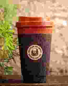 Eco Cup 2