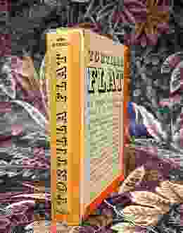 Steinbeck Tortilla UK 2